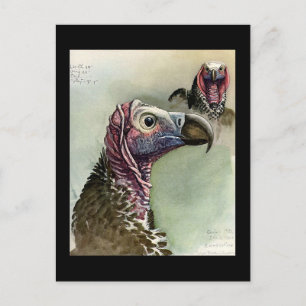 Postcard-Vintage Chicago Art-Abyssinian Birds 15 Postcard