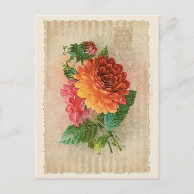 Postcard Vintage Collection - Vol.4 - Postcard (Front)