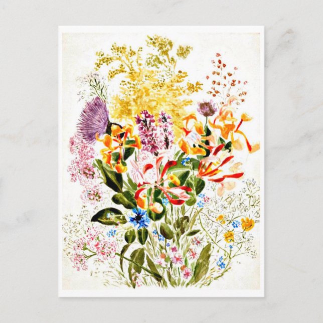 Postcard-Vintage Illustration-Beatrix Potter 10 Postcard (Front)