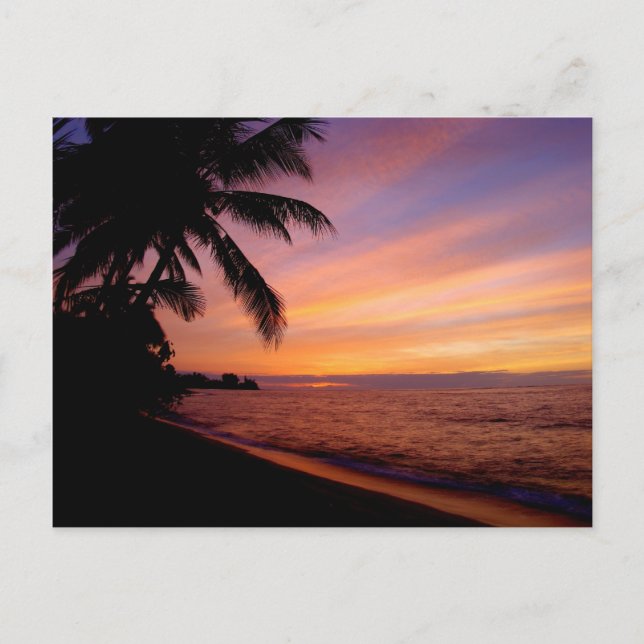 Postcard - Waialua Sunset (Front)