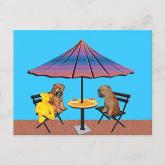 Postcard: Wheaten Chat Postcard