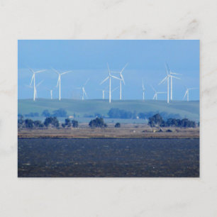 Postcard - Wind Farm on the Delta