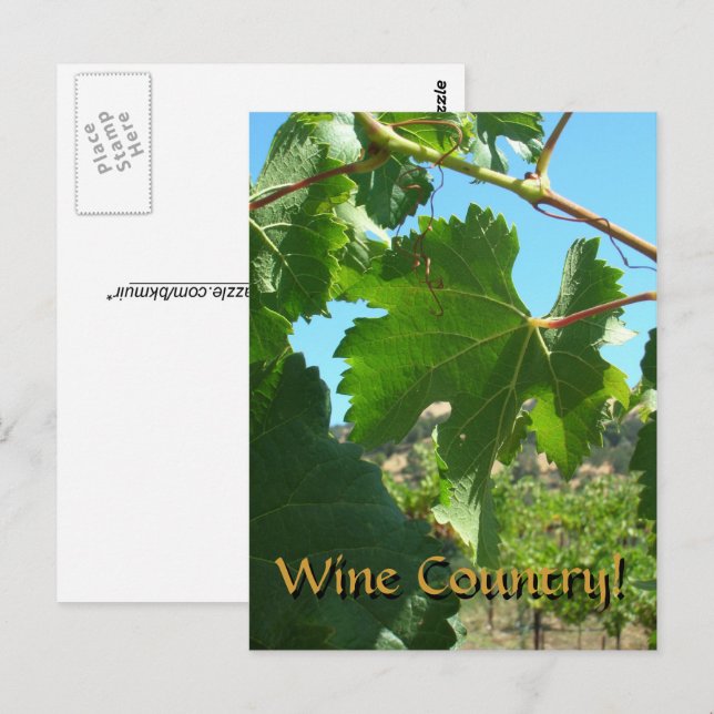 Postcard - Wine Country (Front/Back)