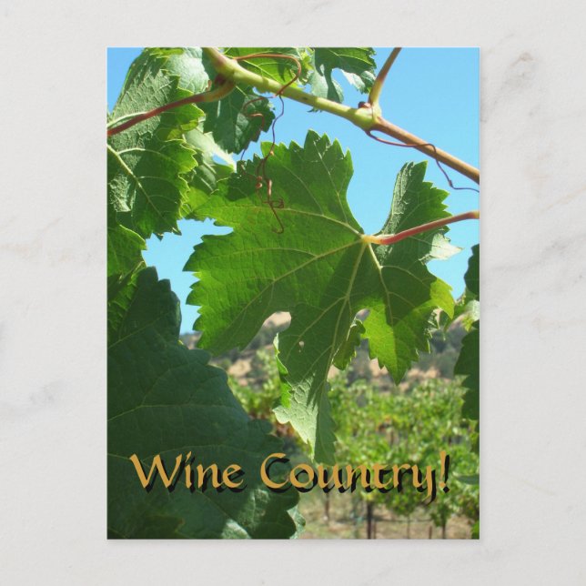 Postcard - Wine Country (Front)