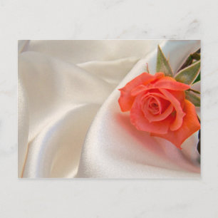 Postcard with a pink rose