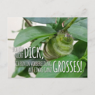 Postcard with Caterpillar & Humor