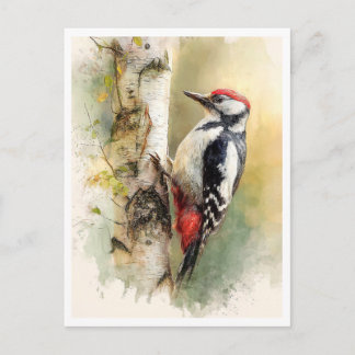 Postcard. Woodpecker Postcard