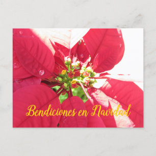 Postcard Xmas 003 -Spanish - Postcard