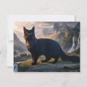 Postcards Cat Série 11 18