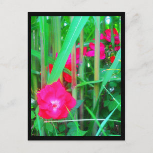 Postcards-City Flowers-13 Postcard