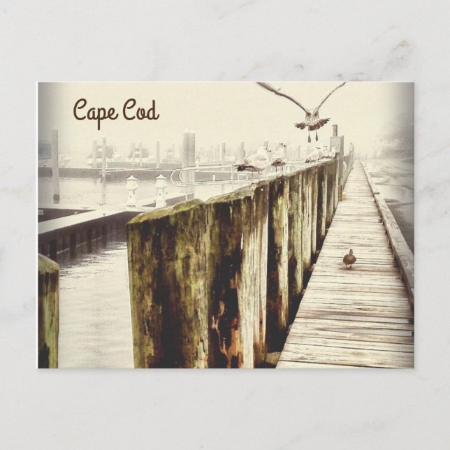Postcards from Cape Cod (Seagull Harbor) (Front)