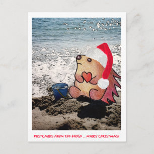 POSTCARDS FROM THE hEDGE