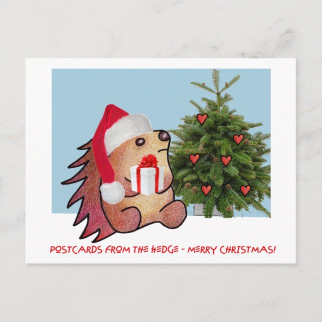 POSTCARDS FROM THE hEDGE (Front)