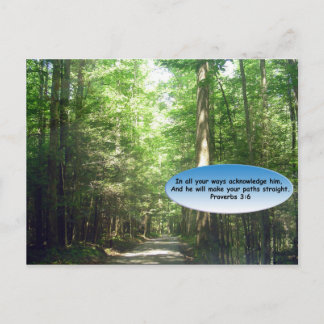 Postcards: Path in Forest Postcard