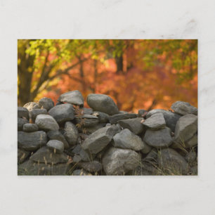 POSTCARDS   STONE WALL