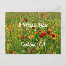 Postcards: The Flower Fields, Carlsbad, CA
