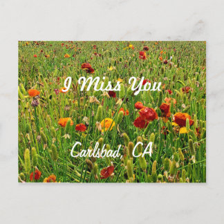 Postcards: The Flower Fields, Carlsbad, CA Holiday Postcard
