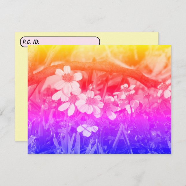 Postcrossing 70's Vibe Wildflowers w/ ID Box Postcard (Front/Back)