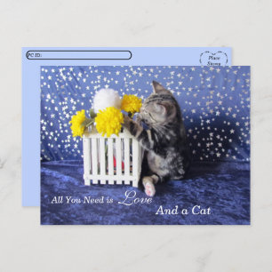 Postcrossing - All You Need is Love and a Cat Postcard