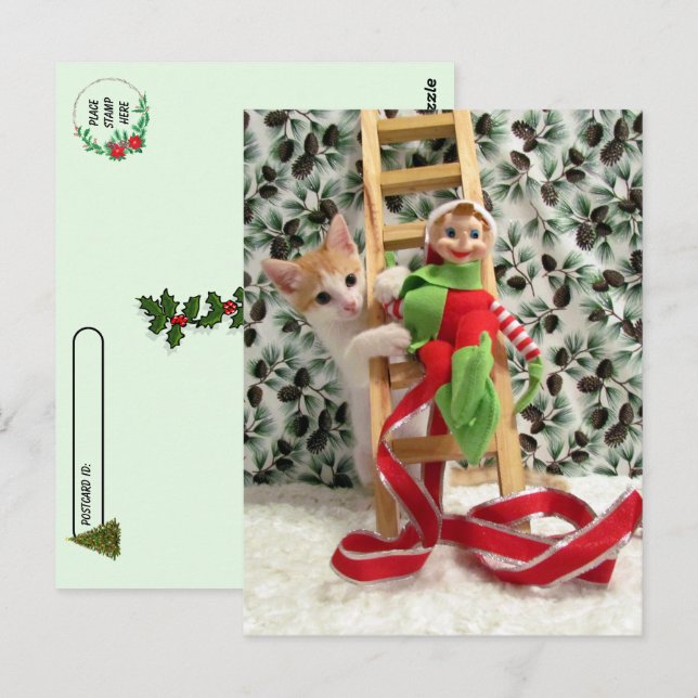 Postcrossing - Annie the Cat and the Christmas Elf Postcard (Front/Back)
