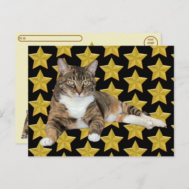 Postcrossing - Annie's Star : Cat Postcard (Front/Back)