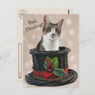 Postcrossing - Bah Humbag Tito The Cat Postcard