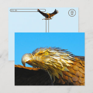 Postcrossing - Bald Eagle Statue Postcard