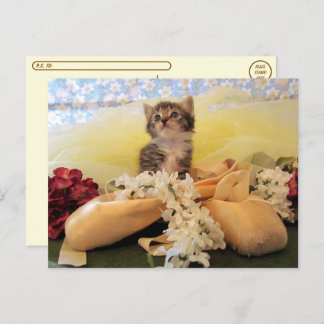 Postcrossing Ballerina Kate Cat / Kitten Postcard