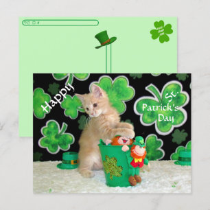 Postcrossing Buffington The Cat St. Patrick's Day  Postcard