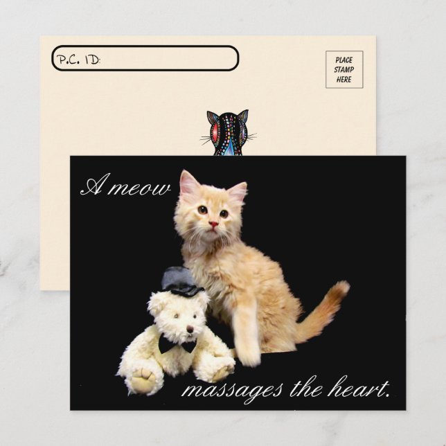 Postcrossing - Cat Pic - Sundrop and Teddy Bear Postcard (Front/Back)