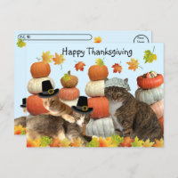 Postcrossing - Cats, Pumpkins, and Fall Leaves 