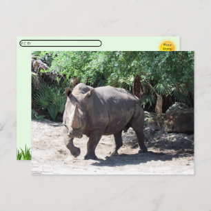 Postcrossing Charging Rhinoceros Postcard