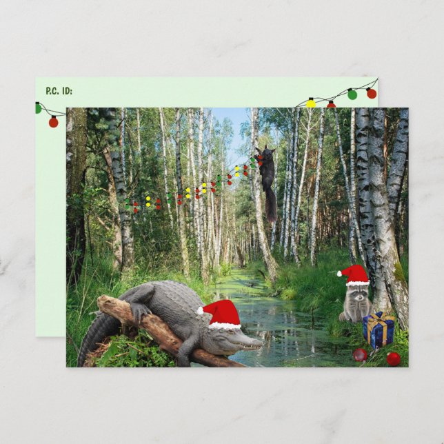 Postcrossing Christmas in the Swamp Postcard (Front/Back)