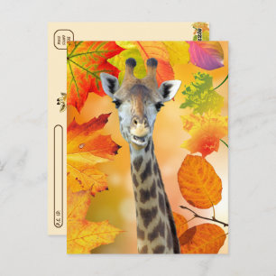 Postcrossing - Colourful Autumn / Fall Giraffe Postcard