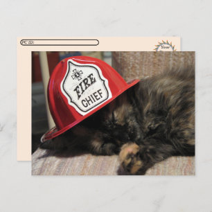 Postcrossing - Cute Cat Postcard - Fire Chief 