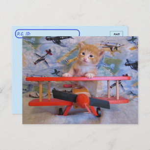 Postcrossing = Dolce the Cat's Aeroplane Postcard