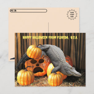 Postcrossing - Halloween Pumpkins and Gator Postcard