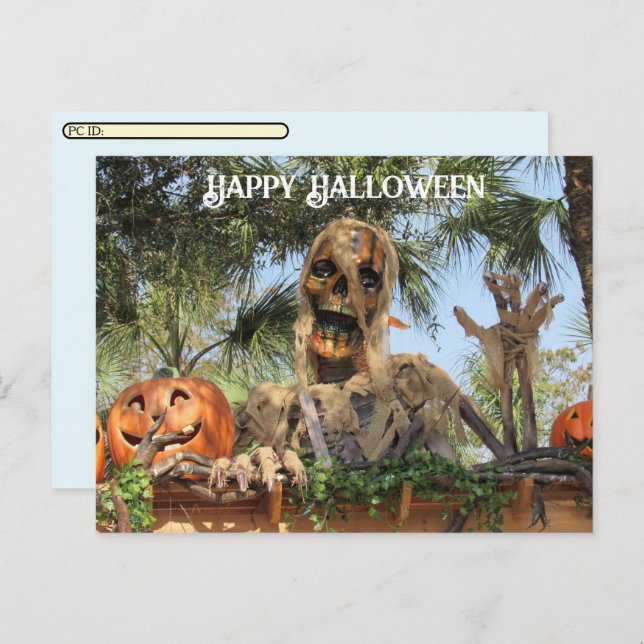 Postcrossing - Halloween Skeleton and Pumpkin Holiday Postcard (Front/Back)