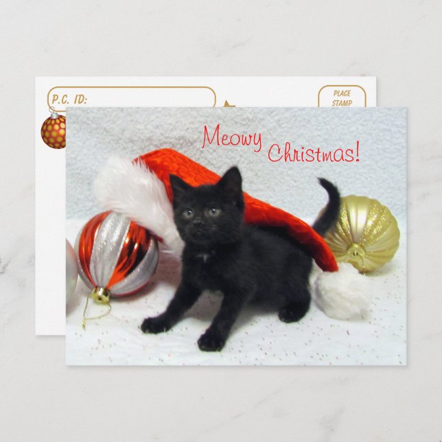 Postcrossing - Joon's Christmas - Cat / Kitten  Postcard (Front/Back)