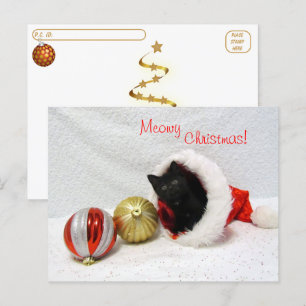 Postcrossing - Joon's Christmas - Cat / Kitten  Postcard