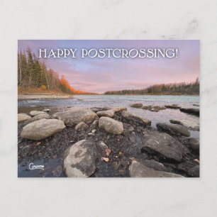 Postcrossing Kenai River - Postcard
