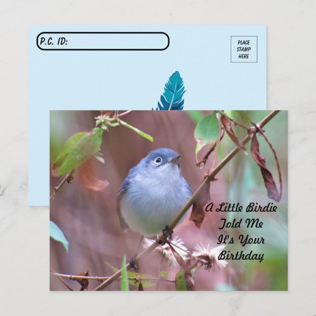 Postcrossing Little Birdie Birthday Postcard (Front/Back)