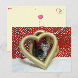 Postcrossing - Love, Lilo - Cat / Kitten Heart Postcard