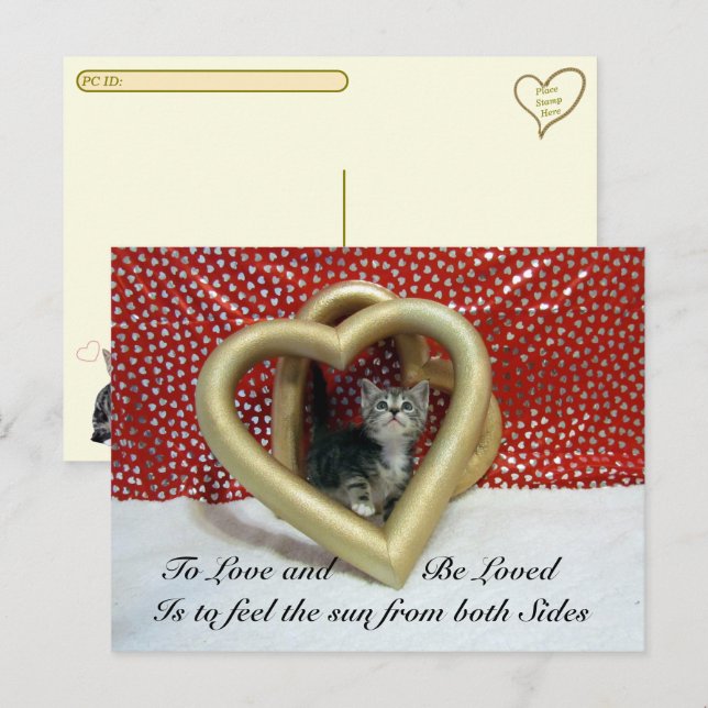 Postcrossing Love Quote Starring Lilo Cat Postcard (Front/Back)
