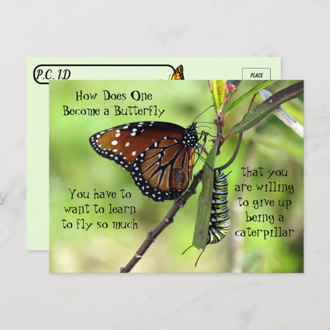 Postcrossing - Monarch Butterfly & Caterpillar Postcard (Front/Back)