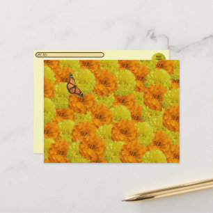 Postcrossing Monarch Butterfly & Marigolds Floral  Postcard