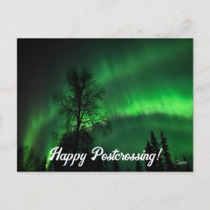 Postcrossing Northern Lights 4 - Postcard