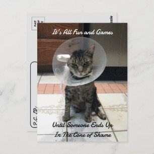 Postcrossing - Oliver The Cats Cone of Shame  Postcard