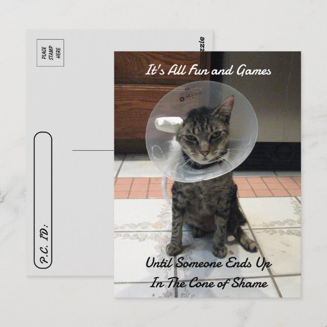 Postcrossing - Oliver The Cats Cone of Shame  Postcard (Front/Back)
