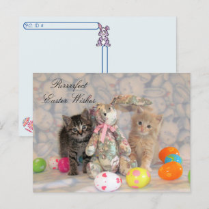 Postcrossing -Patton & Buffington Easter Cat  Holiday Postcard